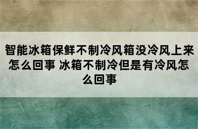 智能冰箱保鲜不制冷风箱没冷风上来怎么回事 冰箱不制冷但是有冷风怎么回事